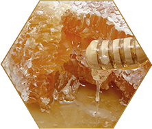 ROYAL JELLY