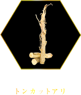 トンカットアリ